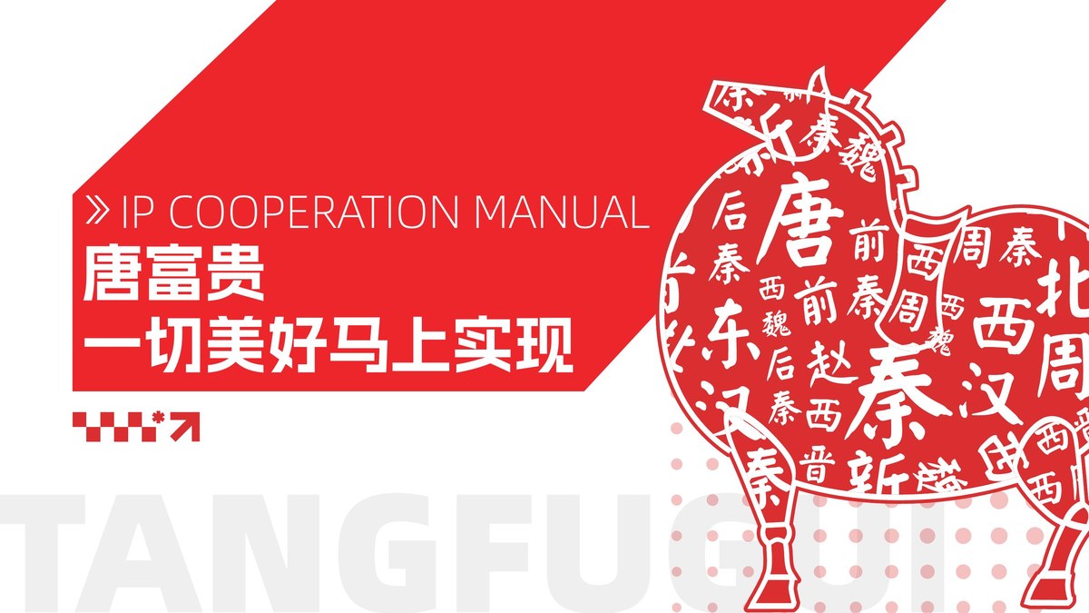 唐富贵家族品牌书封面